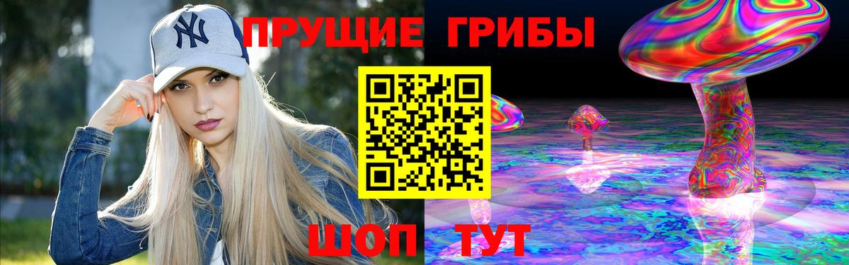 Осинники  Галлюциногенные грибы Psilocybe  Вход с VPN 