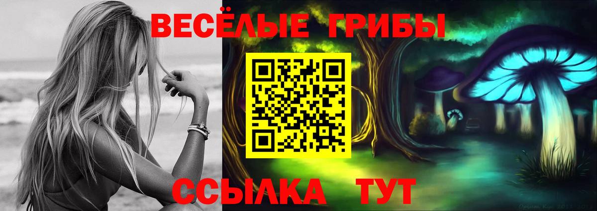 Псилоцибиновые грибы Psilocybine cubensis Осинники